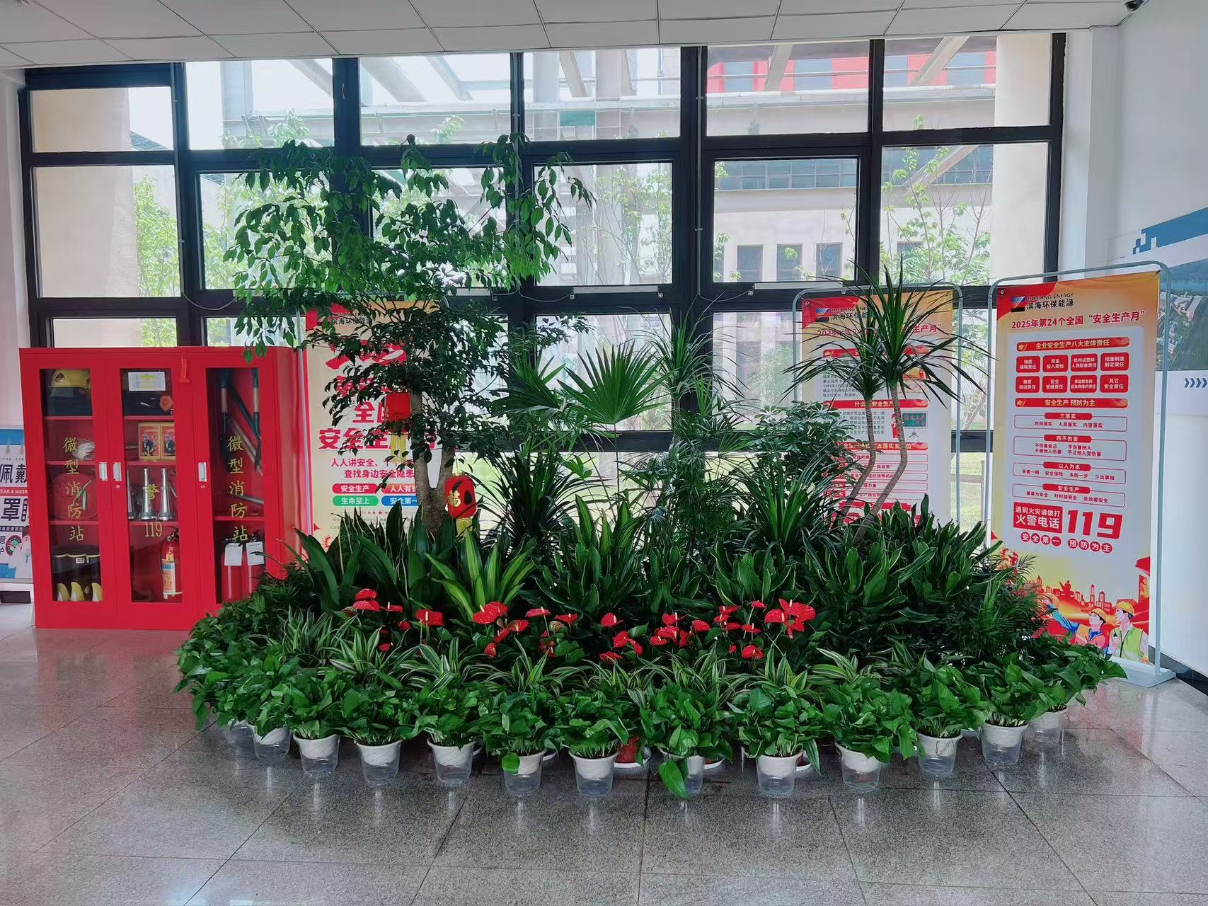 宁波前湾花卉租赁专业，打造独特花卉景观